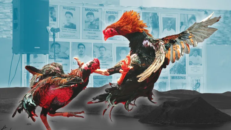 Bí Kíp Cách Chơi Đá Gà Sabong Tại DF999 Đỉnh Cao Nhận Quà Khủng