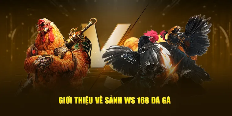 Hướng Dẫn Cách Chơi Đá Gà WS168 Tại DF999 Thắng Lớn Mỗi Ngày