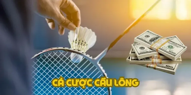 Bật Mí Cách Chơi Cá Cược Cầu Lông Tại DF999 Giúp Bạn Thắng Đậm Nhanh Chóng