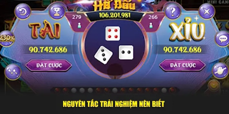 Cách Chơi Tài Xỉu Nhà Cái DF999 Kiếm Tiền Nhanh Chóng